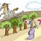 求職者是否能讀懂HR的語(yǔ)言